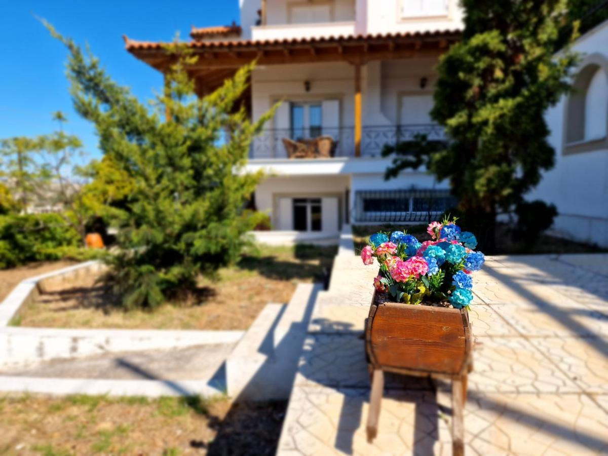 Villa Liana : Luxury Villa With Fantastic Sea View, Near Airport Порто-Рафти Экстерьер фото