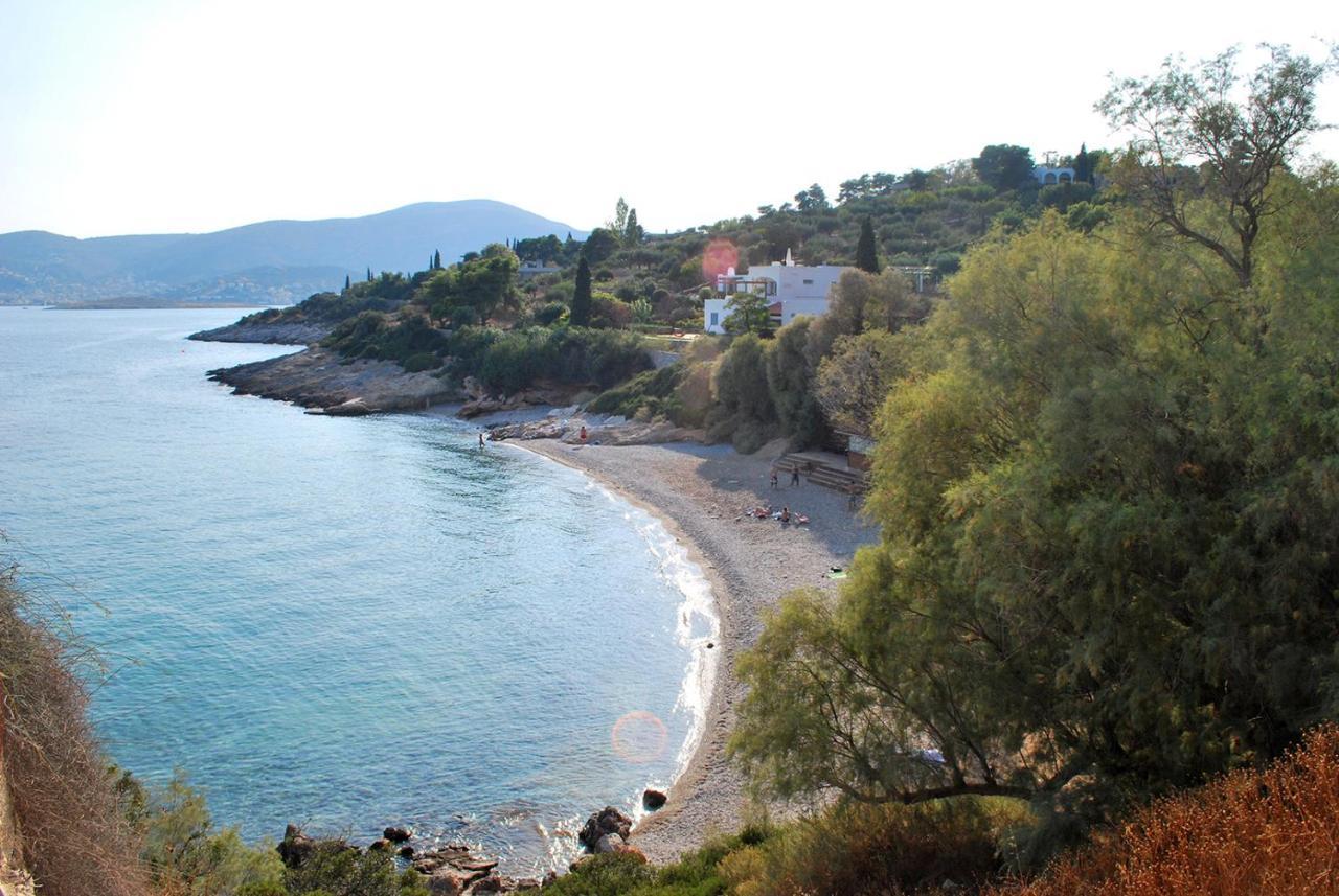 Villa Liana : Luxury Villa With Fantastic Sea View, Near Airport Порто-Рафти Экстерьер фото