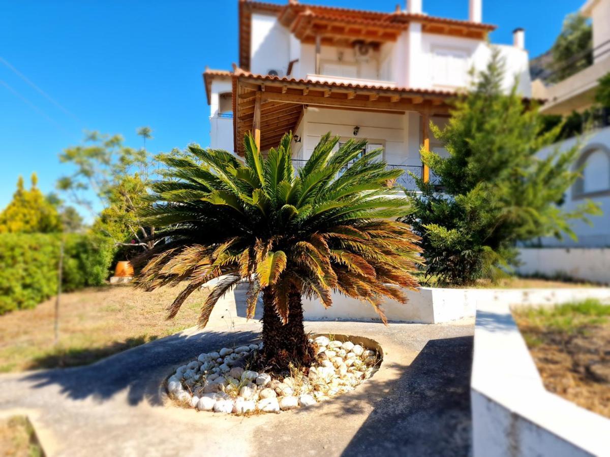 Villa Liana : Luxury Villa With Fantastic Sea View, Near Airport Порто-Рафти Экстерьер фото