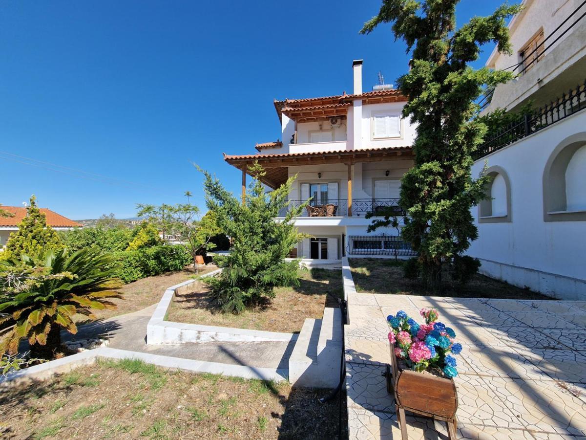 Villa Liana : Luxury Villa With Fantastic Sea View, Near Airport Порто-Рафти Экстерьер фото