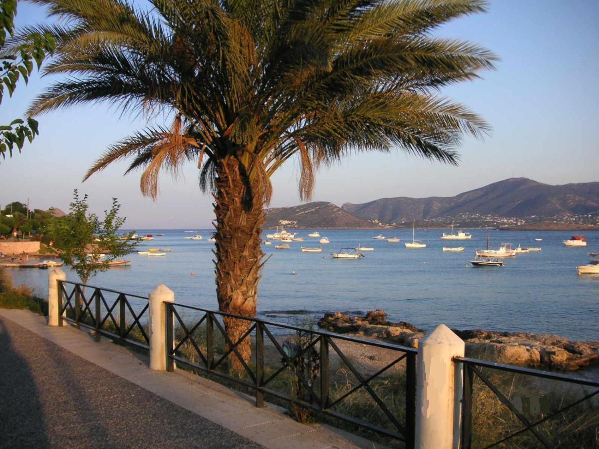 Villa Liana : Luxury Villa With Fantastic Sea View, Near Airport Порто-Рафти Экстерьер фото